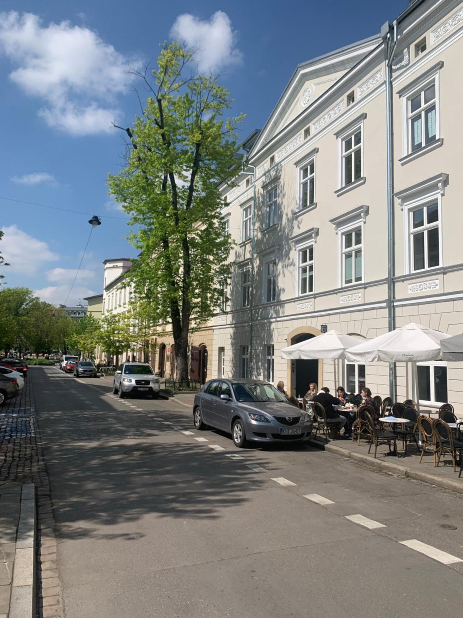 Pola Apartament Old Town - Kazimierz Krakow Dış mekan fotoğraf